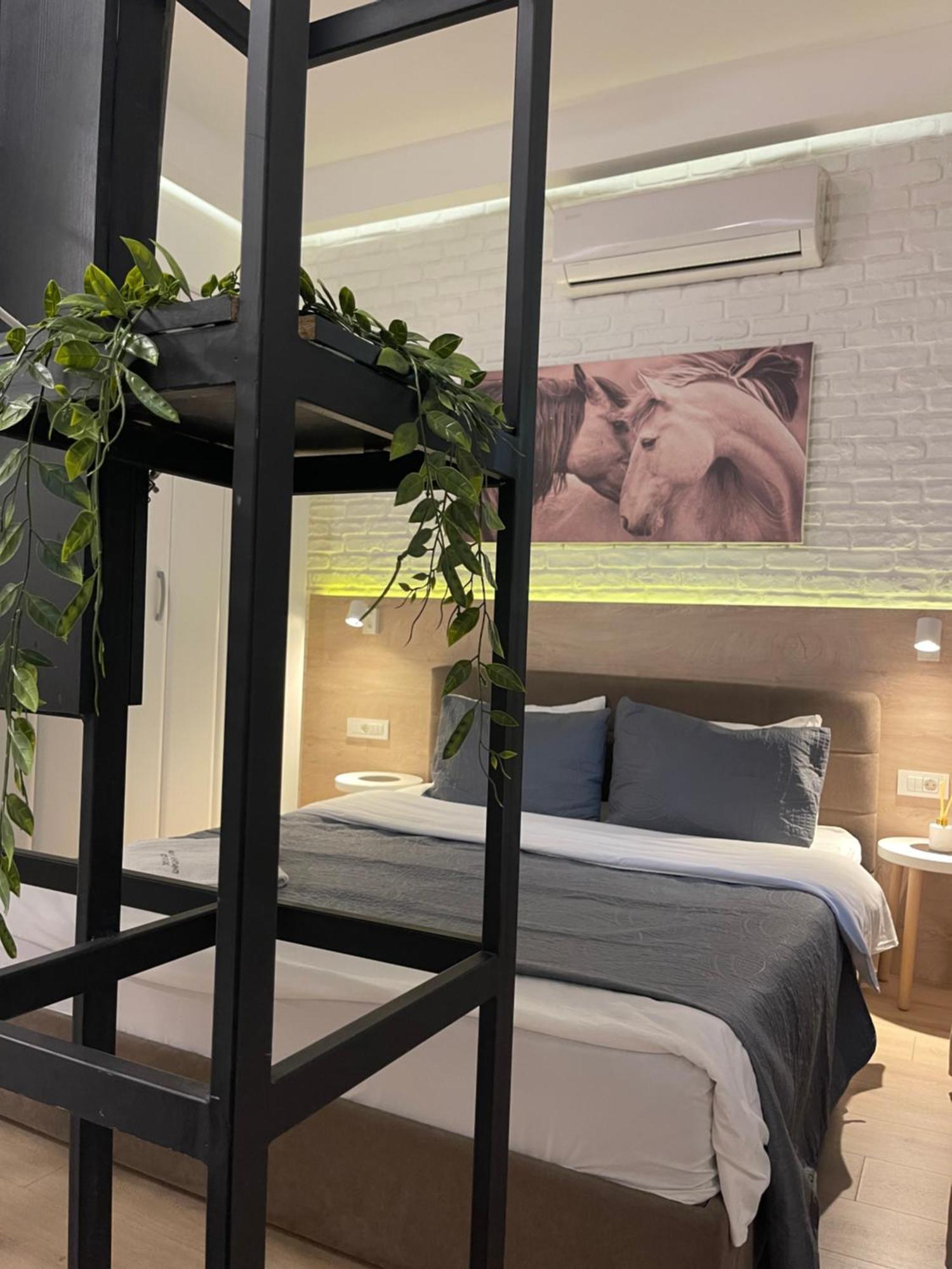 Gray Apartments 斯特鲁米察 外观 照片